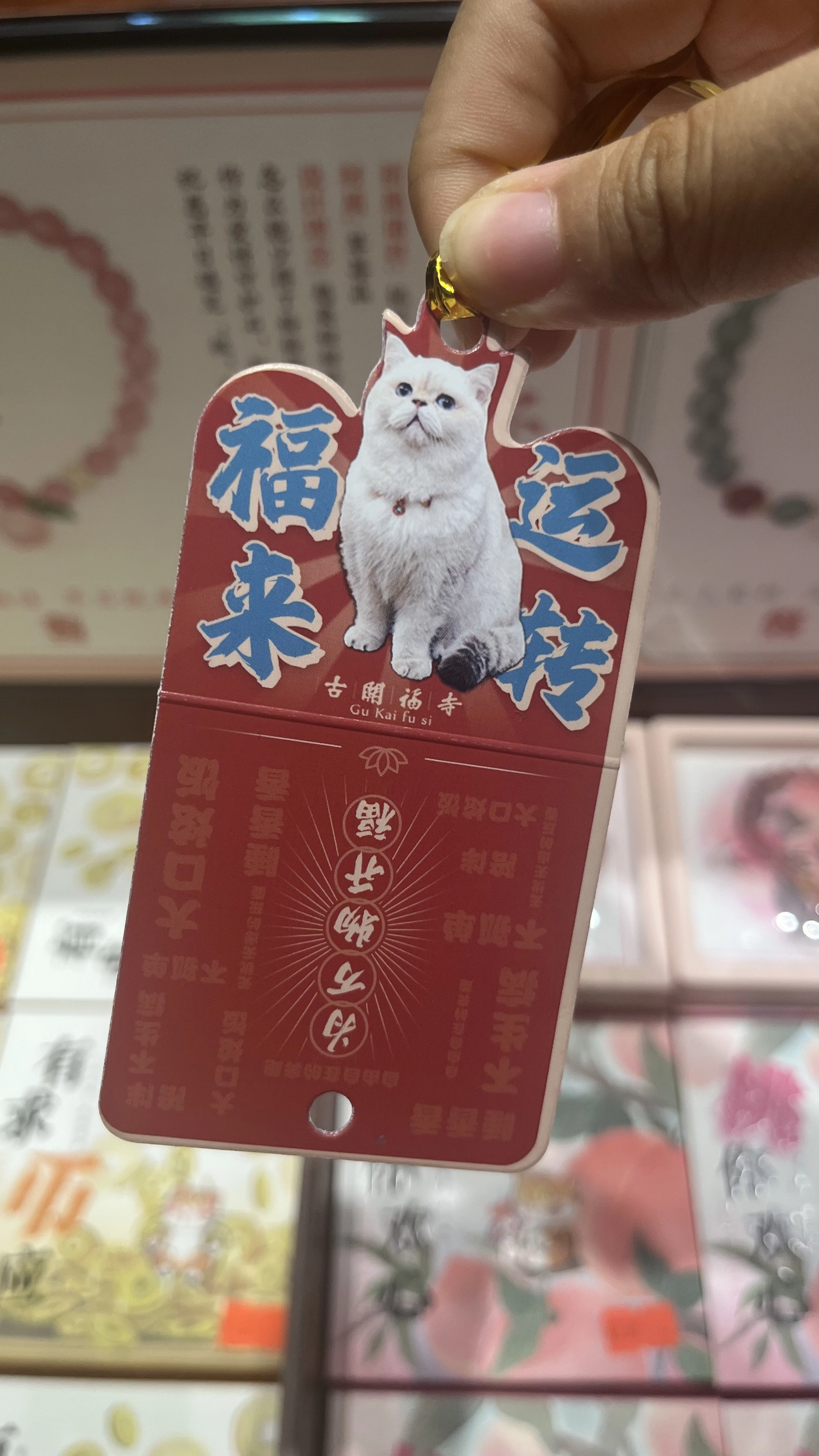 但是躺着的不是这只猫